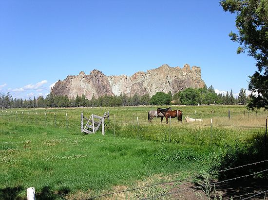 OBR2003_018