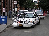 cop cars surrounding the suspect