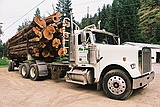 a logging truck