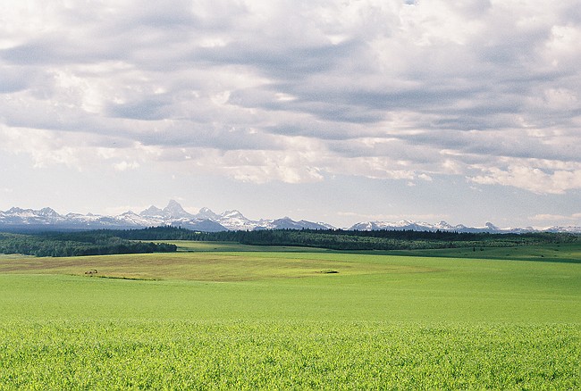 the Tetons, 7/2