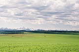 the Tetons, 7/2