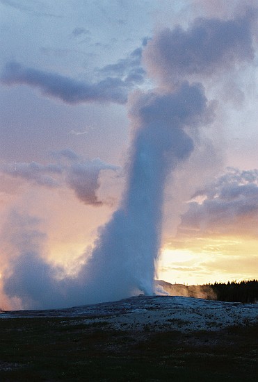 Old Faithful