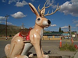 a jackalope
