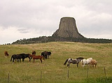 Devil's Tower