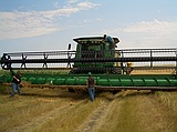 32' wide John Deere combine\nharvests enough wheat in a day to make 32000 loaves of bread