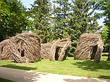 "Twigenomety" at Carleton College