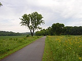 bikepath, Cannon Falls to Redwing