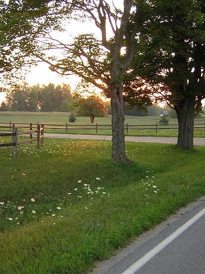 near Farwell, MI