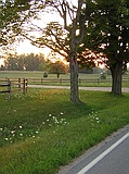 near Farwell, MI