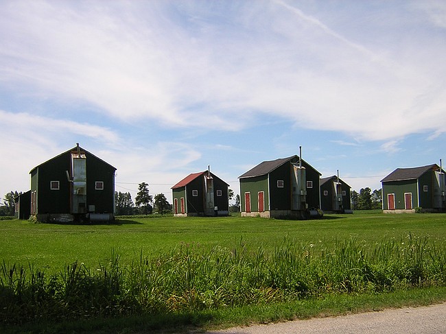 drying sheds