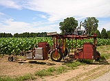 5-man (plus driver) planter/harvester
