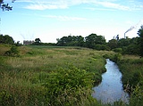 industry & nature, east of Port Dover, ON