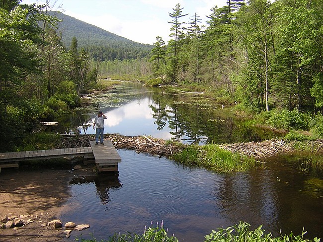 boat launch & beaver dam, Adirondacks