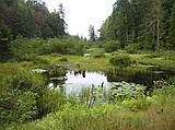 Adirondack pond