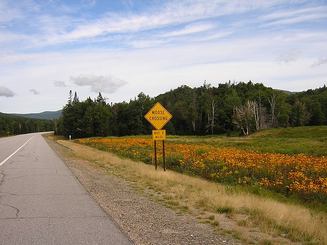on the climb to Crawford Notch  (White Mountains), NH