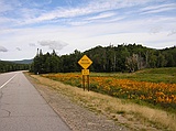 on the climb to Crawford Notch  (White Mountains), NH